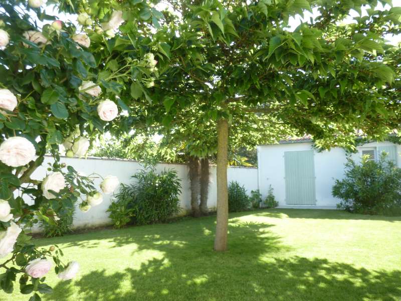 Photo 5: An accomodation located in La Couarde-sur-mer on ile de Ré.