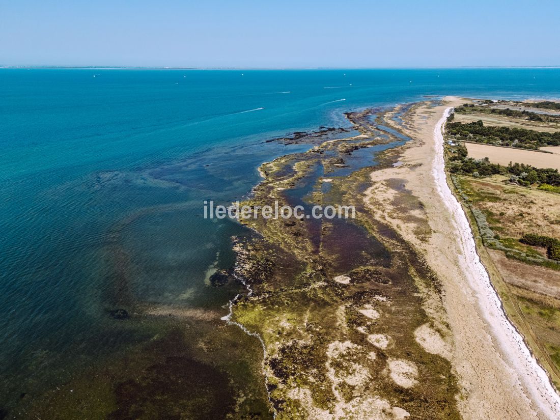 Photo 34: An accomodation located in Loix on ile de Ré.