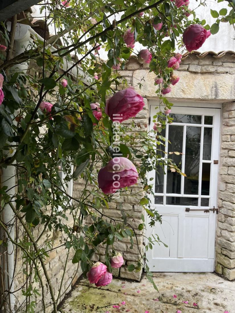 Photo 9: An accomodation located in La Flotte-en-Ré on ile de Ré.