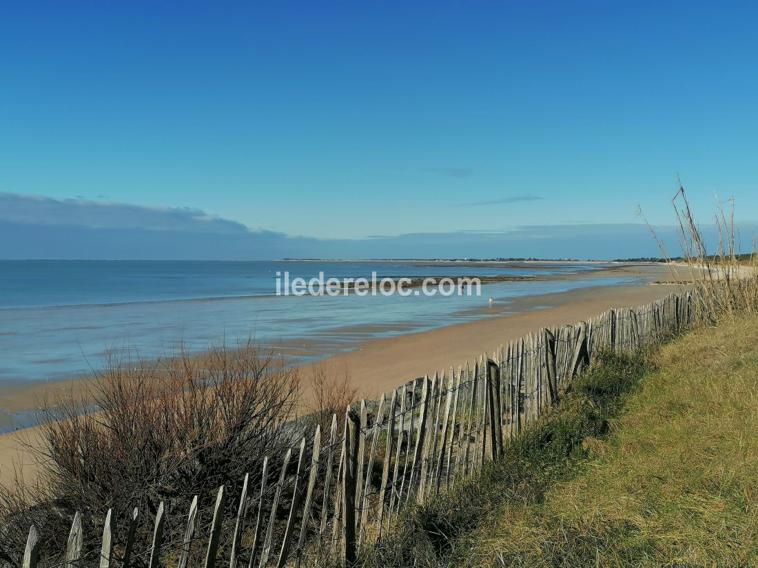 Photo 9: An accomodation located in La Couarde-sur-mer on ile de Ré.