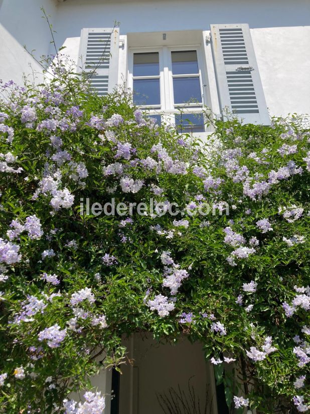 Photo 18: An accomodation located in Sainte-Marie-de-Ré on ile de Ré.