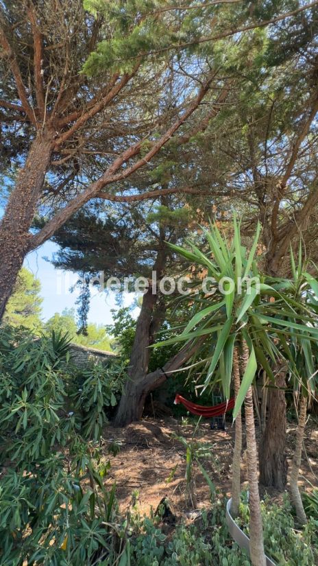 Photo 15: An accomodation located in Les Portes-en-Ré on ile de Ré.