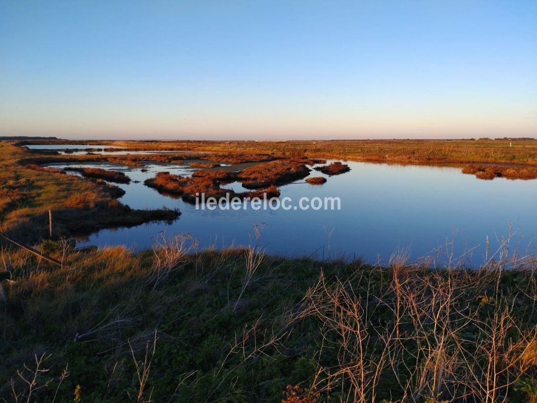 Photo 14: An accomodation located in Loix on ile de Ré.
