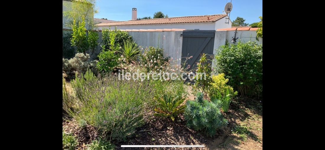 Photo 6: An accomodation located in La Couarde-sur-mer on ile de Ré.