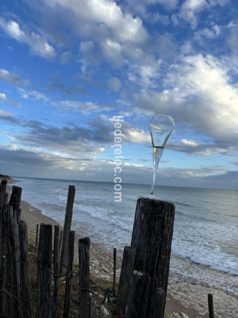 Photo 13: An accomodation located in Sainte-Marie-de-Ré on ile de Ré.