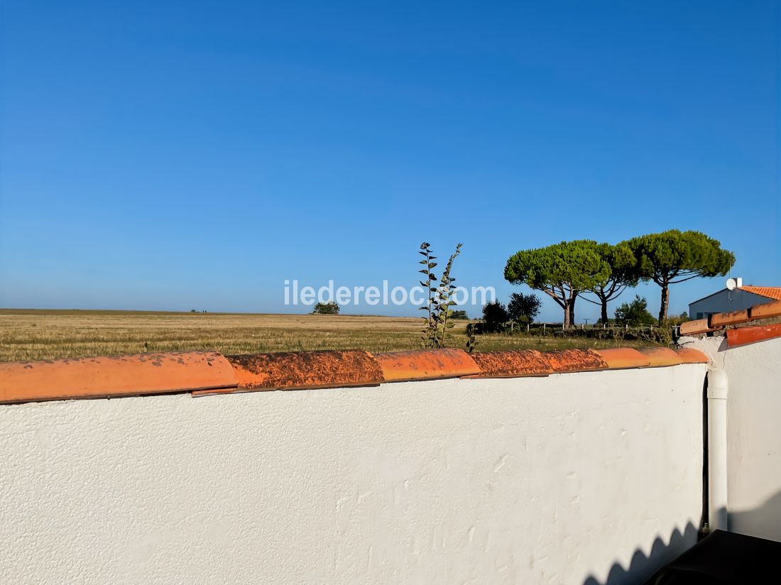 Photo 5: An accomodation located in La Flotte-en-Ré on ile de Ré.