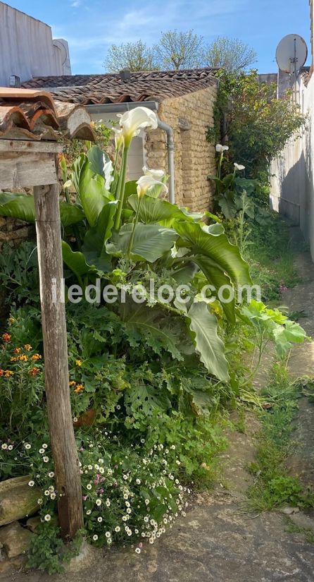 Photo 11: An accomodation located in Les Portes-en-Ré on ile de Ré.