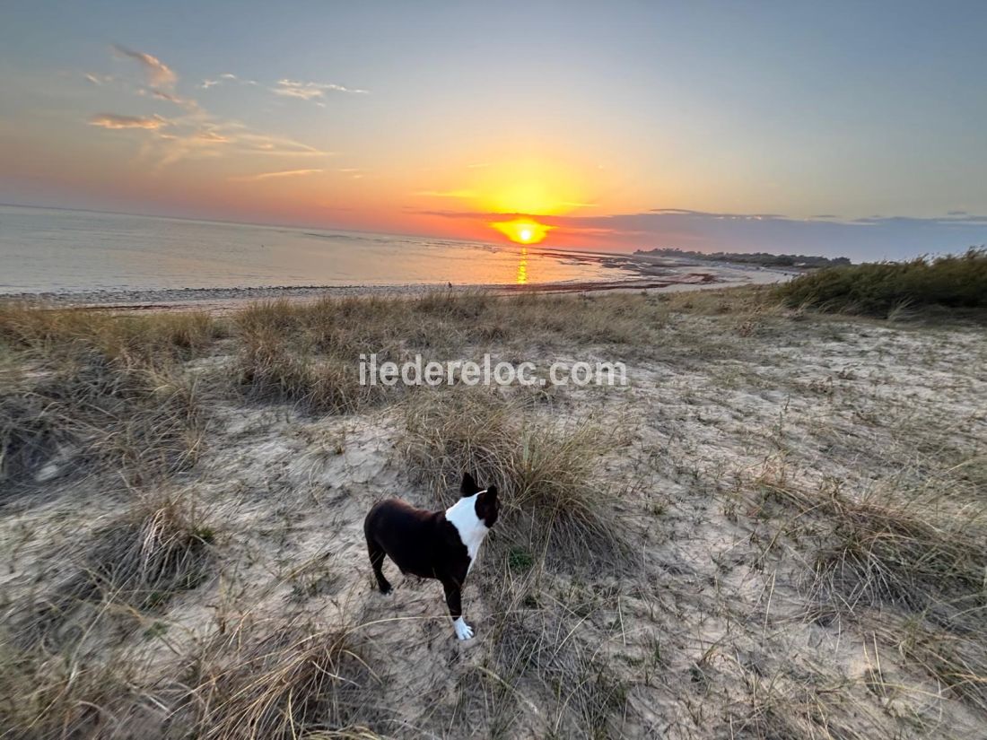 Photo 18: An accomodation located in Sainte-Marie-de-R&eacute; on ile de R&eacute;.