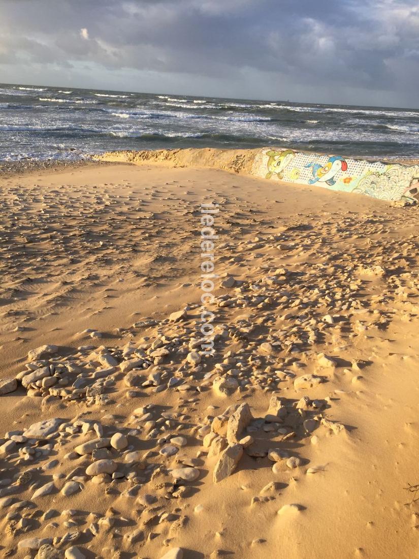 Photo 34: An accomodation located in Sainte-Marie-de-R&eacute; on ile de R&eacute;.