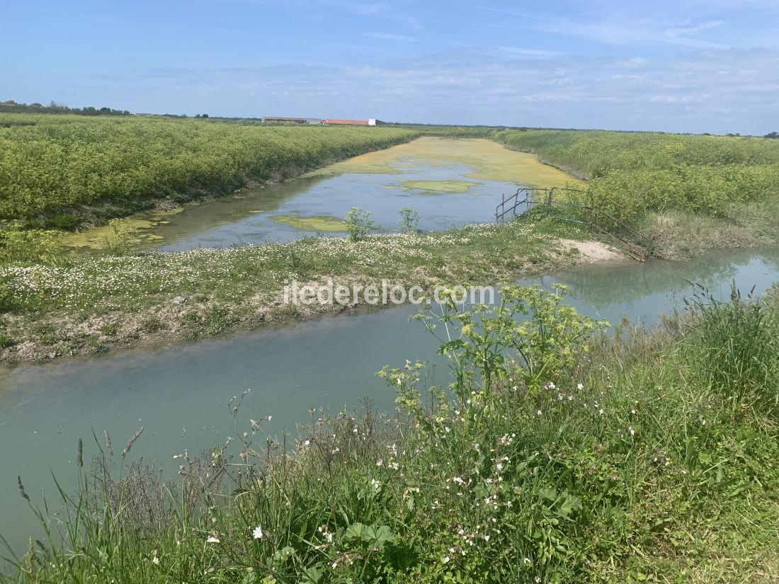 Photo 38: An accomodation located in Sainte-Marie-de-R&eacute; on ile de R&eacute;.
