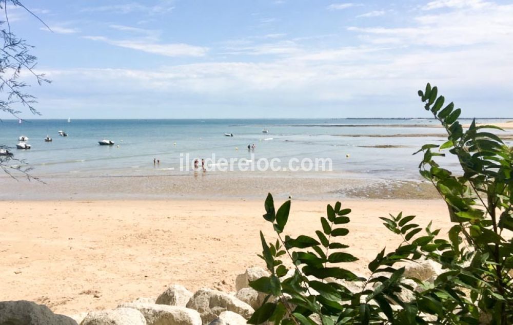 Photo 21: An accomodation located in Sainte-Marie-de-R&eacute; on ile de R&eacute;.