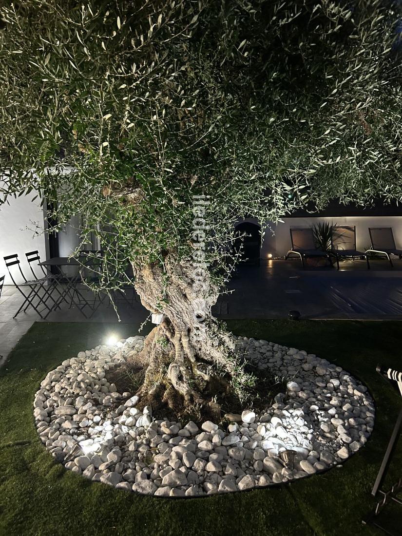 Photo 14: An accomodation located in Le Bois-Plage-en-R&eacute; on ile de R&eacute;.