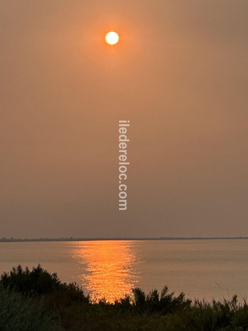 Photo 16: An accomodation located in Le Bois-Plage-en-R&eacute; on ile de R&eacute;.