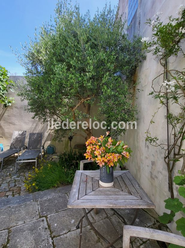 Photo 11: An accomodation located in La Flotte-en-R&eacute; on ile de R&eacute;.