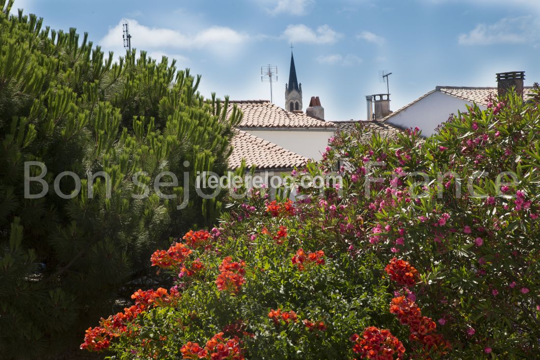 Photo 17: An accomodation located in La Couarde-sur-mer on ile de R&eacute;.