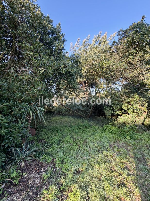 Photo 21: An accomodation located in Saint-Cl&eacute;ment-des-Baleines on ile de R&eacute;.