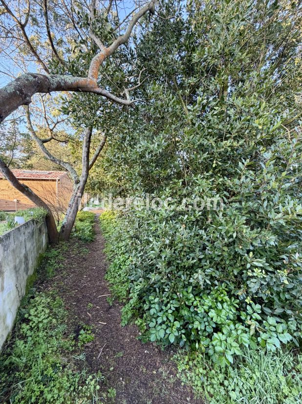 Photo 22: An accomodation located in Saint-Cl&eacute;ment-des-Baleines on ile de R&eacute;.