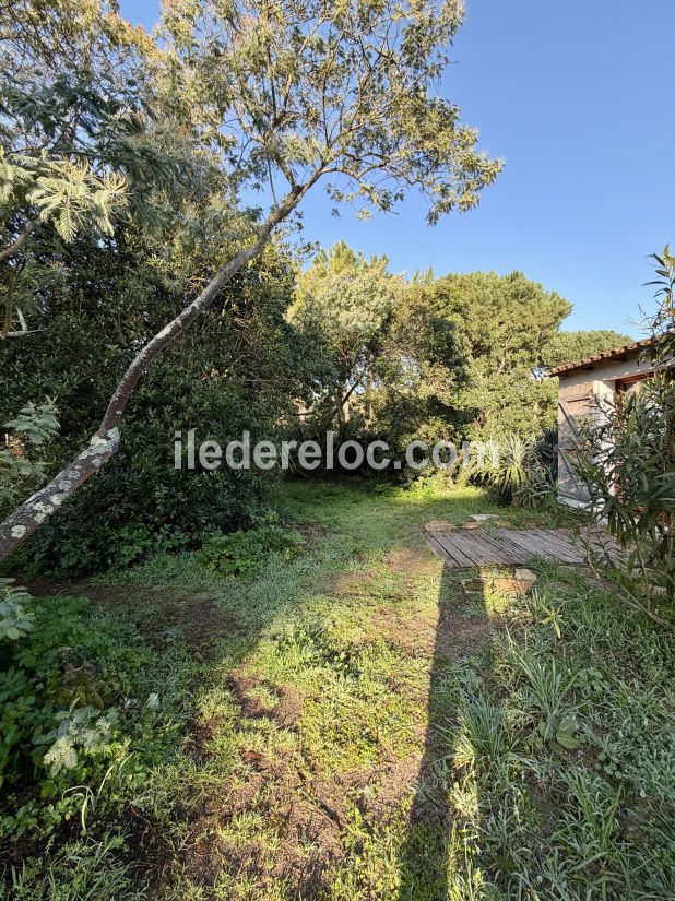 Photo 16: An accomodation located in Saint-Cl&eacute;ment-des-Baleines on ile de R&eacute;.