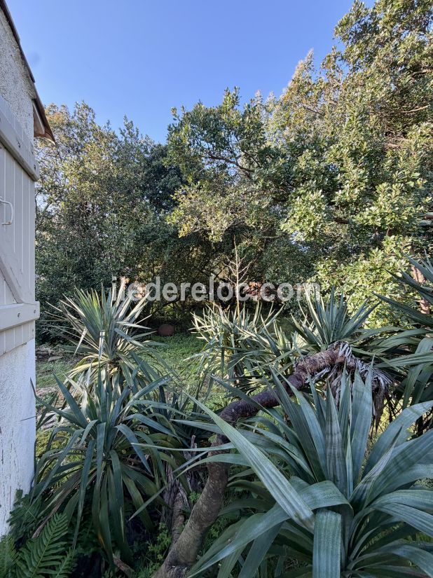 Photo 6: An accomodation located in Saint-Cl&eacute;ment-des-Baleines on ile de R&eacute;.