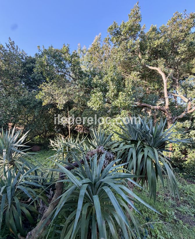 Photo 20: An accomodation located in Saint-Cl&eacute;ment-des-Baleines on ile de R&eacute;.