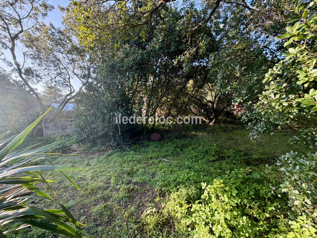 Photo 23: An accomodation located in Saint-Cl&eacute;ment-des-Baleines on ile de R&eacute;.