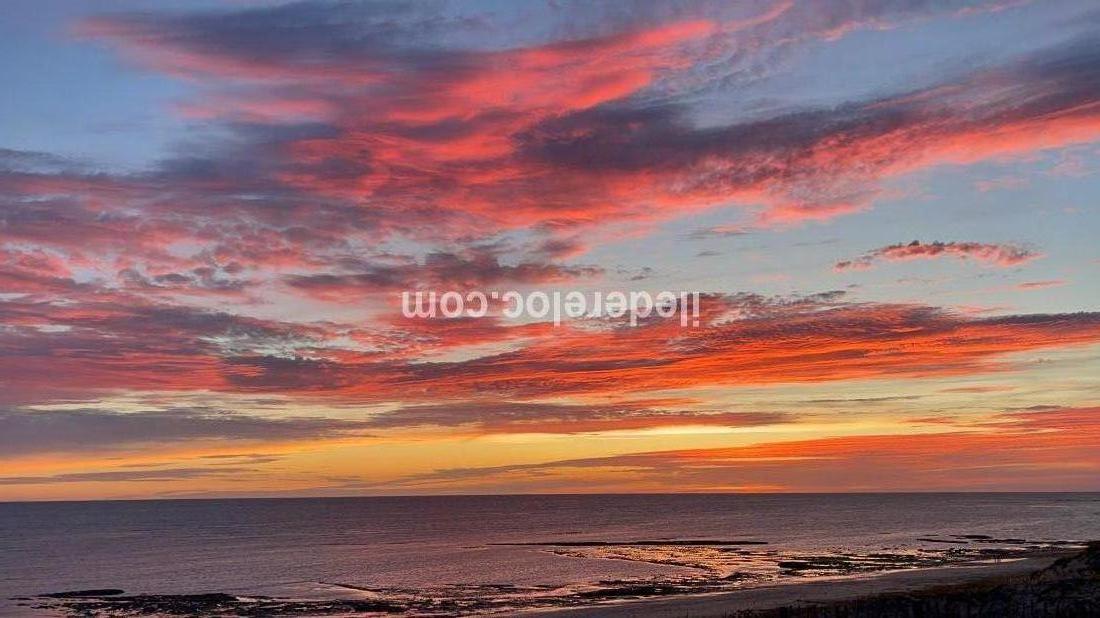 Photo 11: An accomodation located in Saint-Cl&eacute;ment-des-Baleines on ile de R&eacute;.