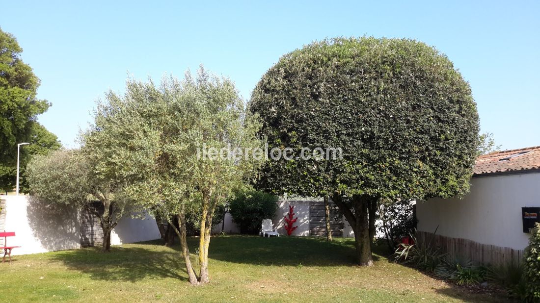 Photo 6: An accomodation located in Saint-Martin-de-R&eacute; on ile de R&eacute;.