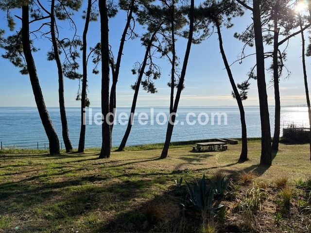 Photo 5: An accomodation located in Rivedoux-Plage on ile de R&eacute;.