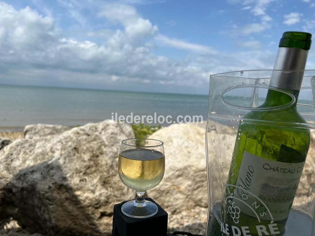 Photo 77: An accomodation located in Saint-Martin-de-R&eacute; on ile de R&eacute;.