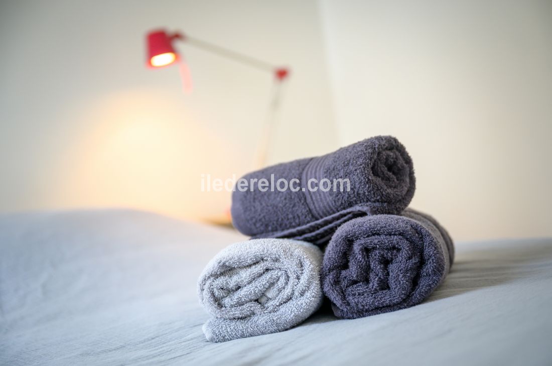 Photo 48: An accomodation located in Saint-Martin-de-R&eacute; on ile de R&eacute;.