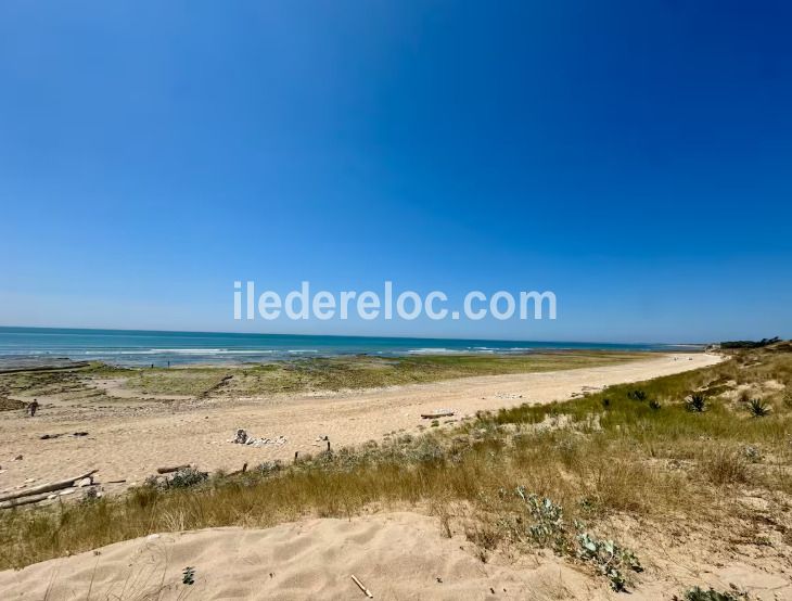 Photo 21: An accomodation located in Sainte-Marie-de-R&eacute; on ile de R&eacute;.