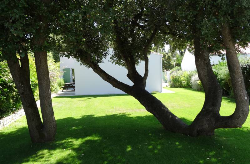 Photo 21: An accomodation located in La Flotte-en-Ré on ile de Ré.