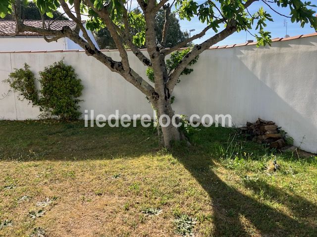 Photo 4: An accomodation located in La Couarde-sur-mer on ile de R&eacute;.