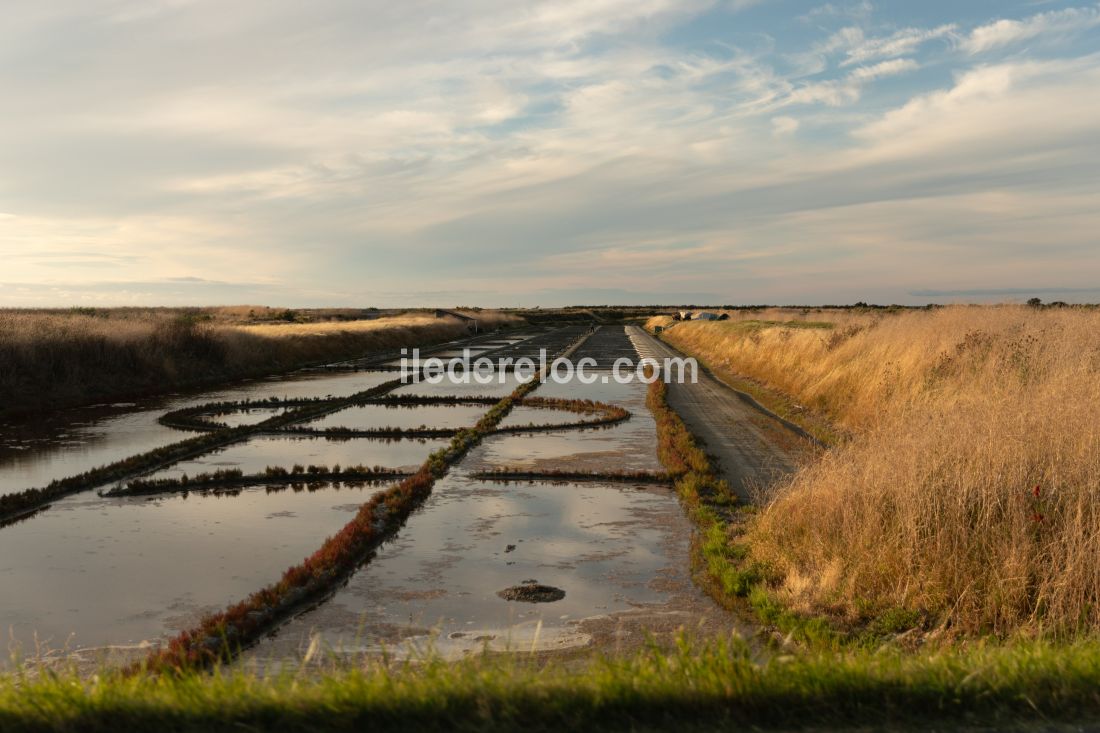 Photo 21: An accomodation located in Loix on ile de R&eacute;.
