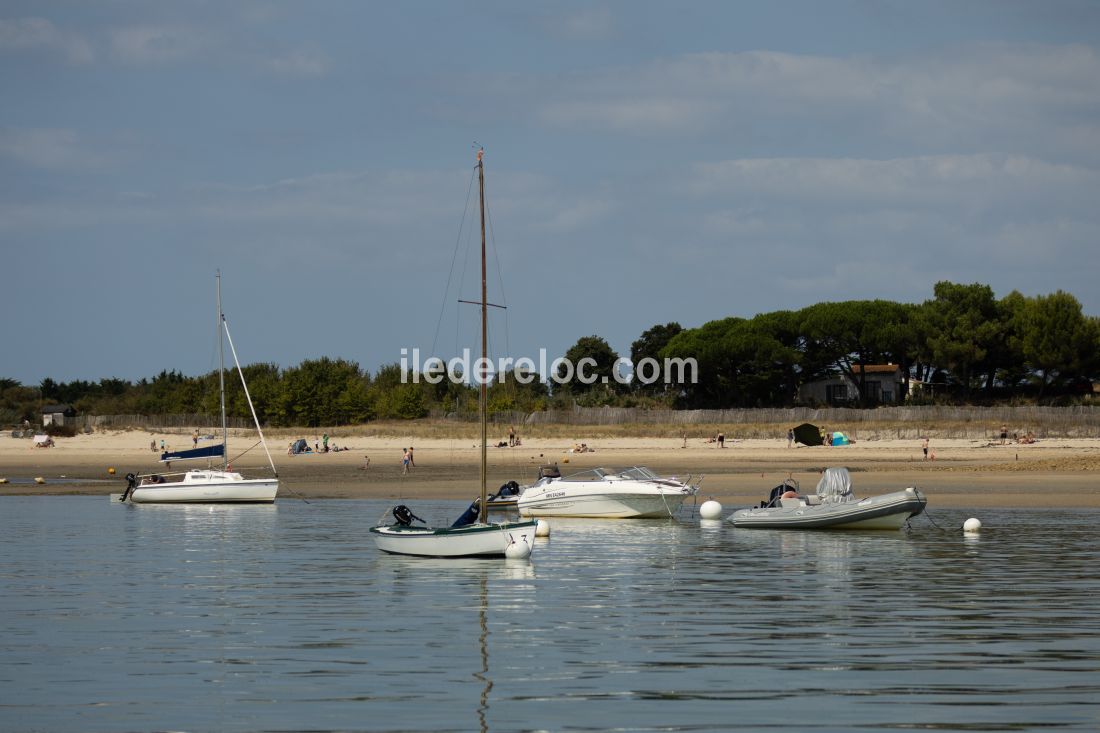 Photo 26: An accomodation located in Loix on ile de R&eacute;.