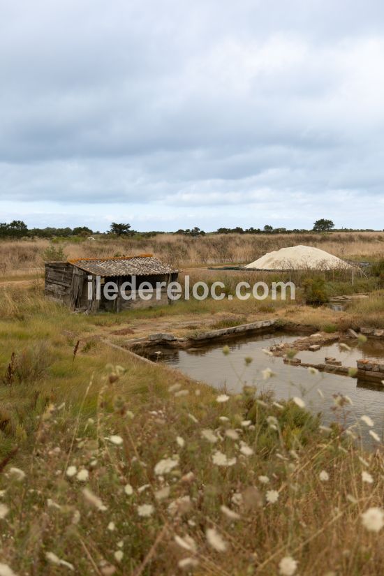 Photo 22: An accomodation located in Loix on ile de R&eacute;.