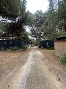 Ile de R&eacute;: