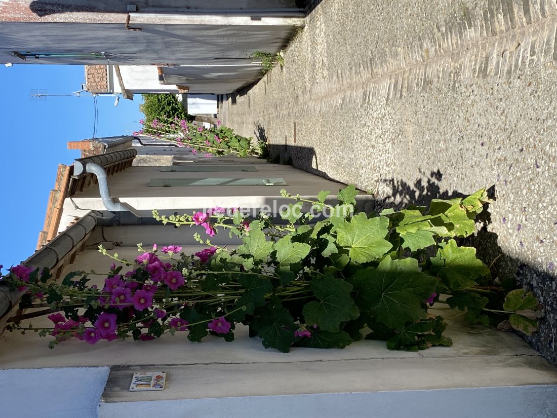 Photo 18: An accomodation located in Sainte-Marie-de-R&eacute; on ile de R&eacute;.