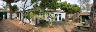 Ile de R&eacute;:Beautiful, quiet, traditional-style house with a garden