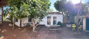 Ile de R&eacute;:Beautiful, quiet, traditional-style house with a garden