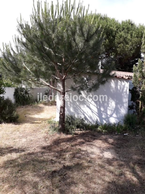 Photo 6: An accomodation located in La Couarde-sur-mer on ile de R&eacute;.