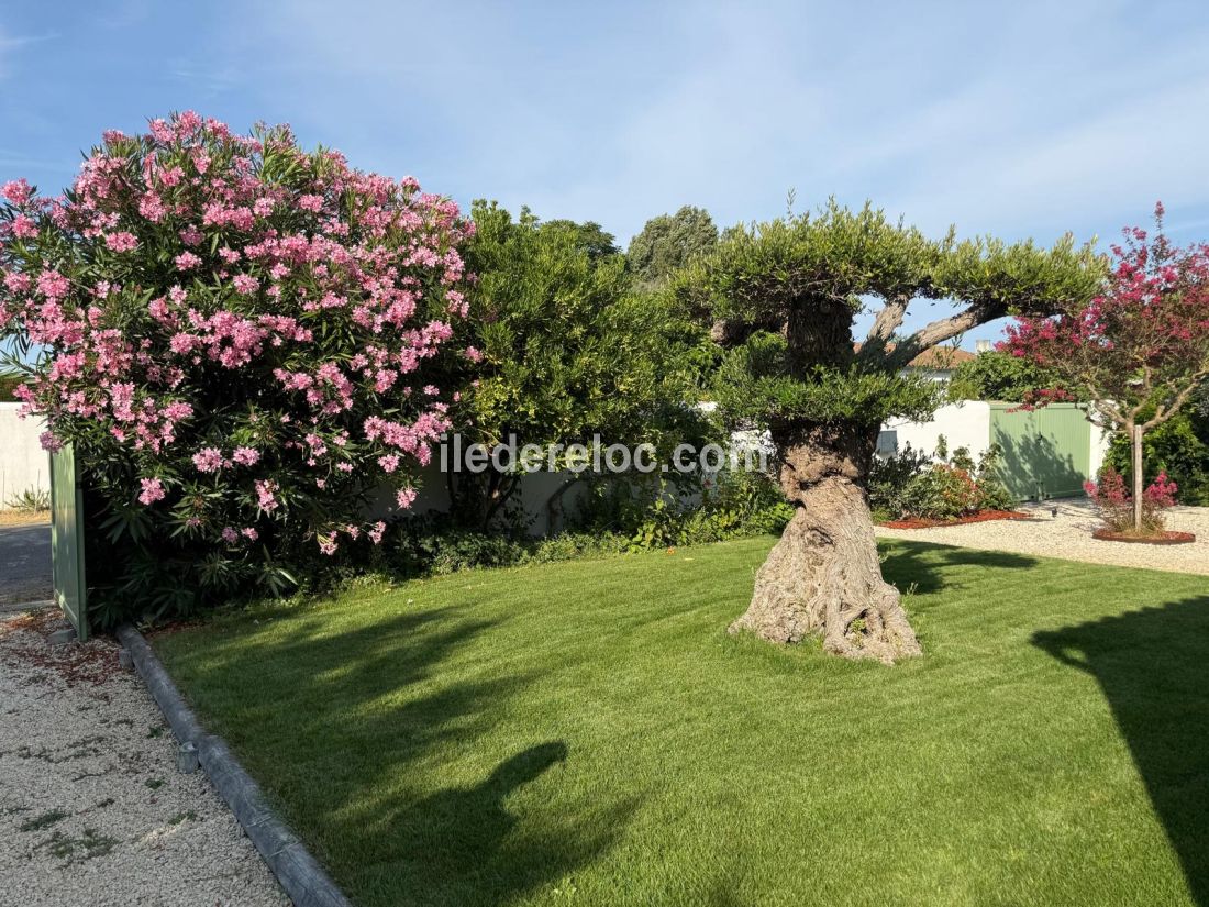 Photo 12: An accomodation located in Ars en R&eacute; on ile de R&eacute;.