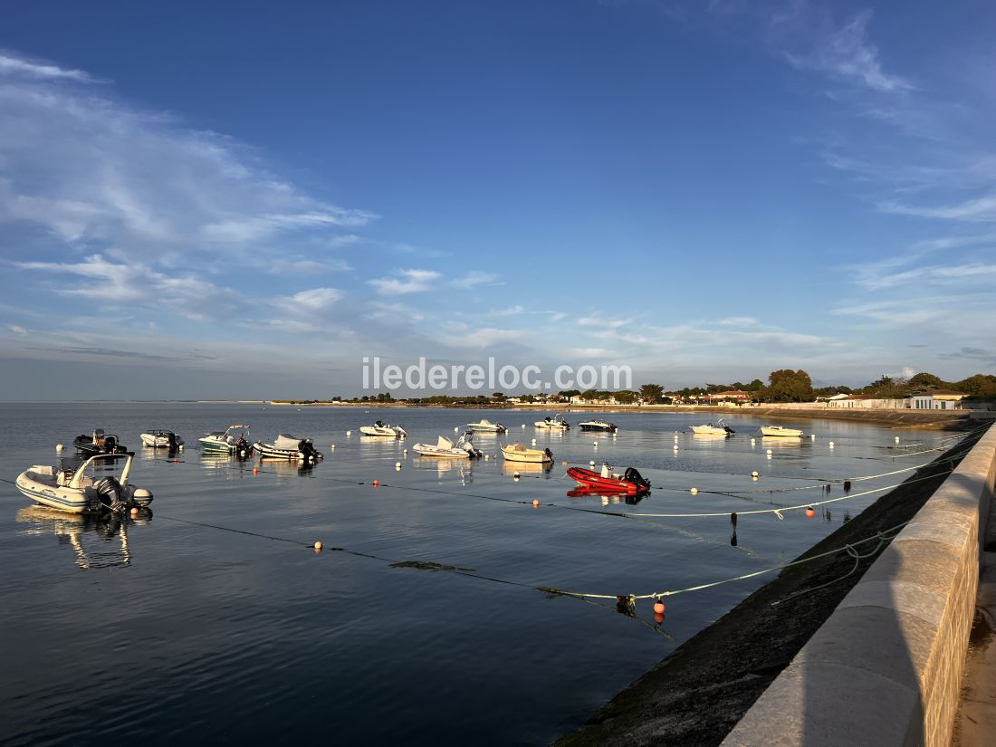 Photo 17: An accomodation located in La Flotte-en-R&eacute; on ile de R&eacute;.