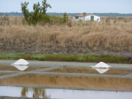 Photo 29: An accomodation located in La Couarde-sur-mer on ile de Ré.